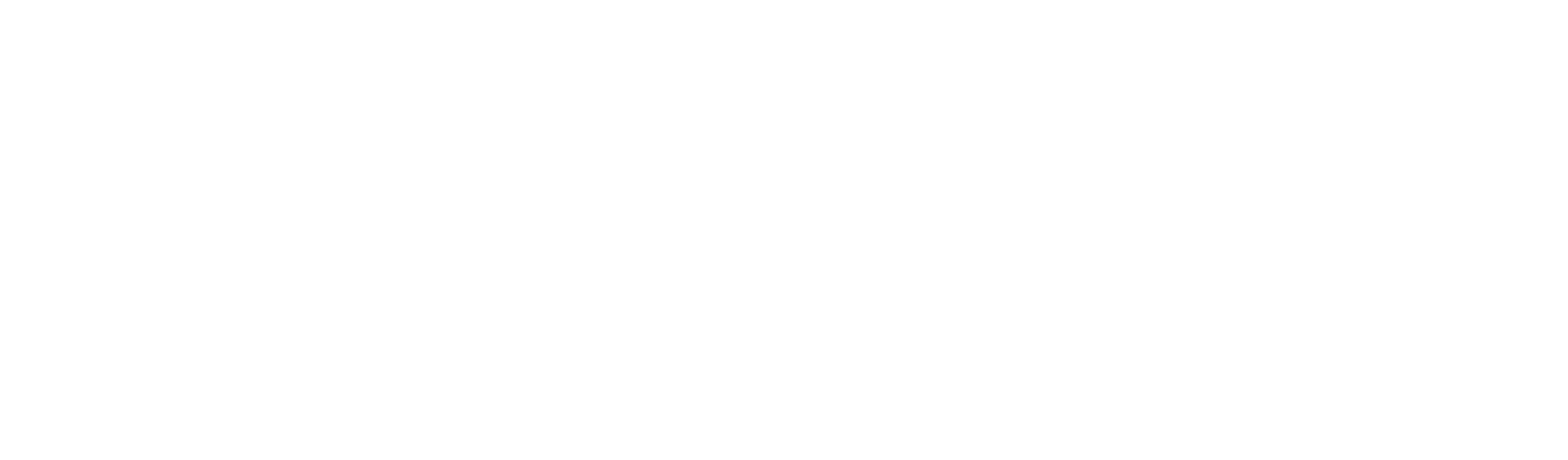 True Verification Services | Best Verification Services provider in India